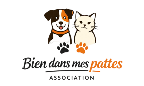 Bien dans mes pattes