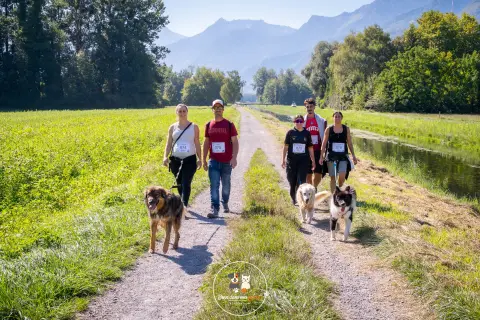 Photo de Bien dans mes pattes 2026